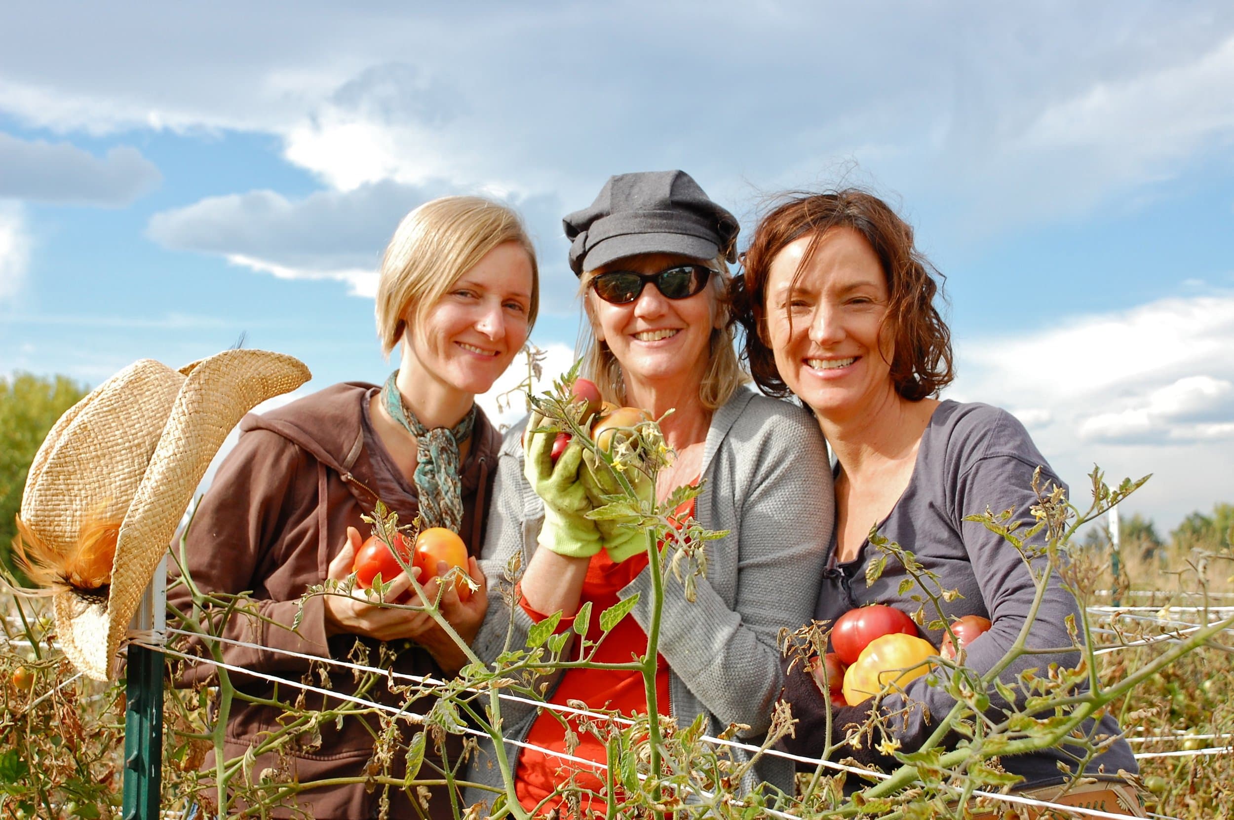 Coop Farm